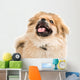 Pekingese Portrait Wall Decal Design 3