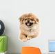 Pekingese Portrait Wall Decal Design 2