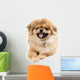 Pekingese Portrait Wall Decal Design 2