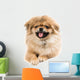 Pekingese Portrait Wall Decal Design 2