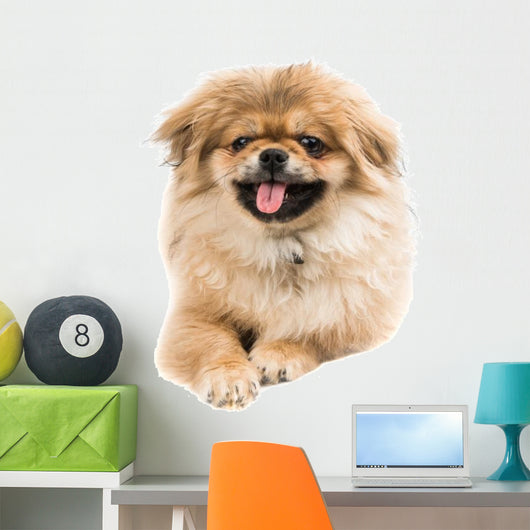 Pekingese Portrait Wall Decal Design 2