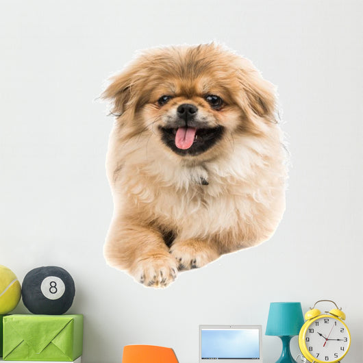 Pekingese Portrait Wall Decal Design 2