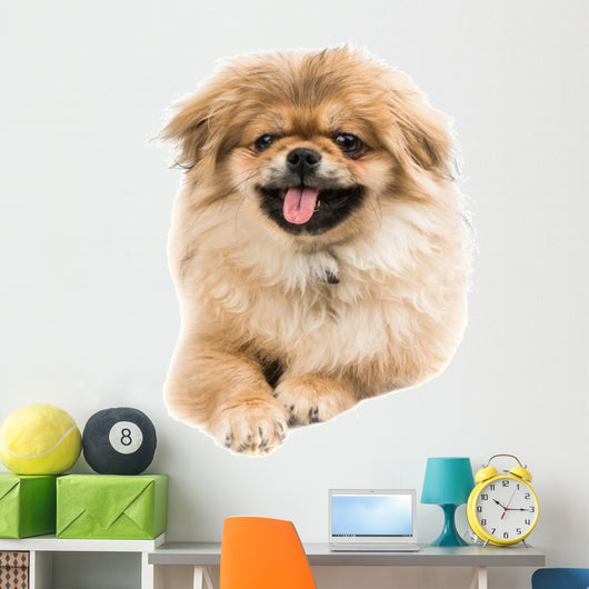 Pekingese Portrait Wall Decal Design 2