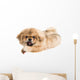Pekingese Portrait Wall Decal Design 1