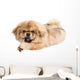 Pekingese Portrait Wall Decal Design 1