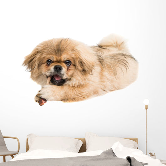 Pekingese Portrait Wall Decal Design 1
