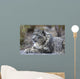 Portrait Adult Snow Leopard Wall Decal Design 2