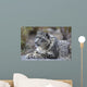 Portrait Adult Snow Leopard Wall Decal Design 2