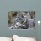 Portrait Adult Snow Leopard Wall Decal Design 2