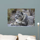 Portrait Adult Snow Leopard Wall Decal Design 2