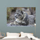 Portrait Adult Snow Leopard Wall Decal Design 2