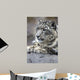 Portrait Adult Snow Leopard Wall Decal Design 1