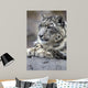 Portrait Adult Snow Leopard Wall Decal Design 1