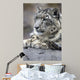 Portrait Adult Snow Leopard Wall Decal Design 1