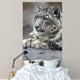 Portrait Adult Snow Leopard Wall Decal Design 1