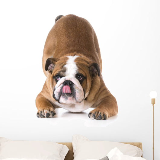 Dog Bowing Wall Decal