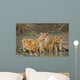 Five Young Lions Drink Wall Decal