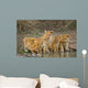 Five Young Lions Drink Wall Decal