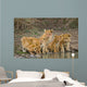 Five Young Lions Drink Wall Decal