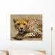 Portrait Cheetah Tanzania Serengeti Wall Decal