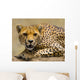 Portrait Cheetah Tanzania Serengeti Wall Decal