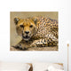 Portrait Cheetah Tanzania Serengeti Wall Decal
