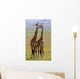 Two Giraffe Savannah Tanzania Wall Decal