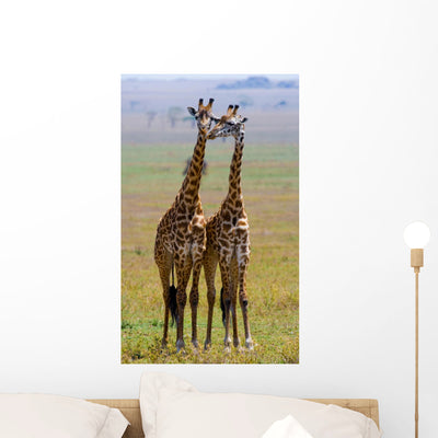 Two Giraffe Savannah Tanzania Wall Decal shown on a wall