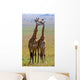 Two Giraffe Savannah Tanzania Wall Decal