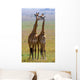 Two Giraffe Savannah Tanzania Wall Decal