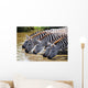 Zebras Drinking Water Tanzania Wall Decal