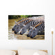 Zebras Drinking Water Tanzania Wall Decal