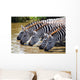 Zebras Drinking Water Tanzania Wall Decal