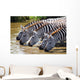 Zebras Drinking Water Tanzania Wall Decal