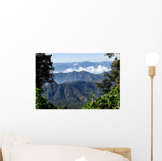 Guatemalan Mountaintops Jungle Wall Decal
