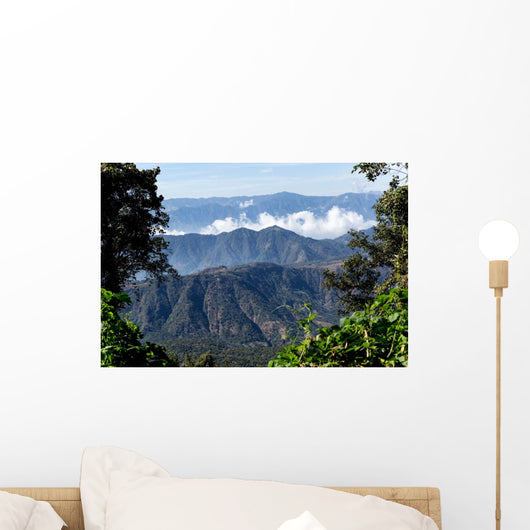Guatemalan Mountaintops Jungle Wall Decal
