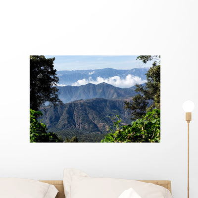 Guatemalan Mountaintops Jungle Wall Decal shown on a wall