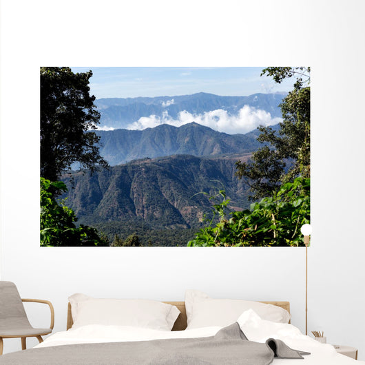 Guatemalan Mountaintops Jungle Wall Decal