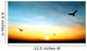 Eagle Flying Sky Beautiful Wall Decal Design 2