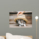 Kitten under Hat Wall Decal