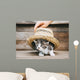 Kitten under Hat Wall Decal