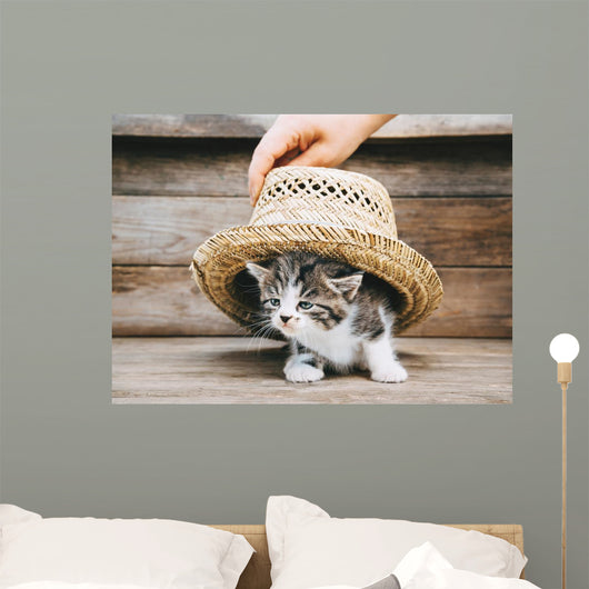 Kitten under Hat Wall Decal