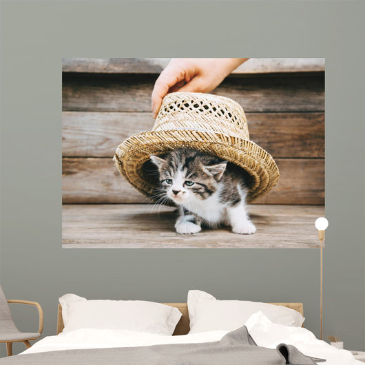 Kitten under Hat Wall Decal