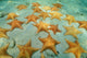 Cluster Starfish Underwater Sandy Wall Decal