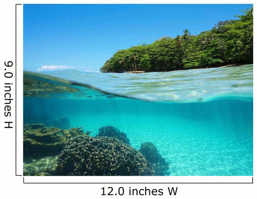 Lush Tropical Shore and Wall Decal