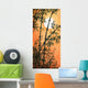 Bamboo Grove Sunset Wall Decal