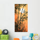 Bamboo Grove Sunset Wall Decal