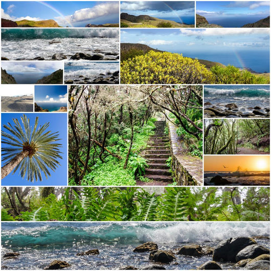 Vielfalt Kanarische Insel La Wall Decal