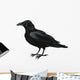 Raven Vector Wall Decal