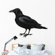 Raven Vector Wall Decal